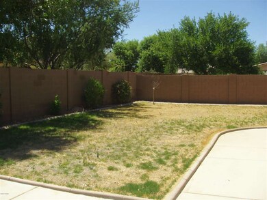 BACKYARD I