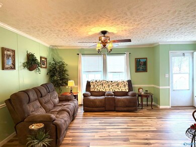 50 County Road 107, Cedar Bluff, AL 35959 - photo 3