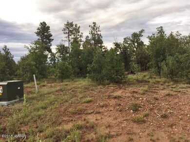 5983 LUMINARY Way, Lakeside, AZ 85929
