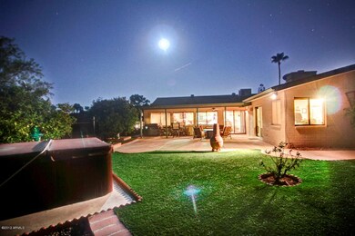 Back Yard-4