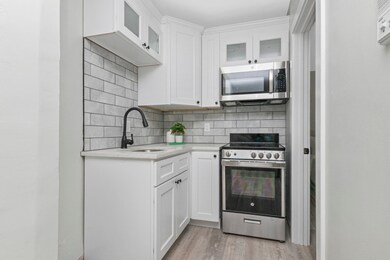 36 Nahant Ave unit 2, Dorchester, MA 02122 - photo 5