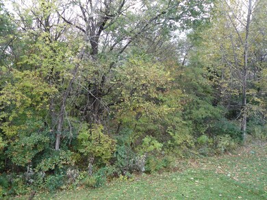 view from back deck