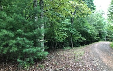 Additional View