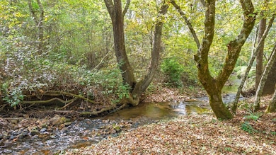 123 Doster Dr, Franklin, NC 28734 - photo 2