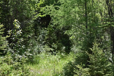 enterance