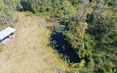 0 Max Rd unit 128798, Perry, FL 32347 - photo 5