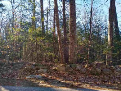 0 Forest Rd unit 7, Wolfeboro, NH 03894 - photo 2
