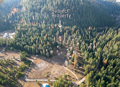 NKA Lower Quartz Creek Rd, Priest River, ID 83856 - photo 7