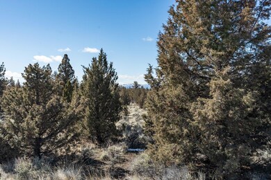 2023_03_29_southwest_texas_circle_lot_36