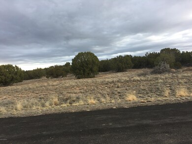 1850 E Aiken Ranch Rd, Paulden, AZ 86334 - photo 7