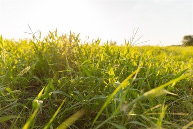 000 E 2020 Rd, Ringling, OK 73456 - photo 4