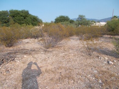 DSCN0408