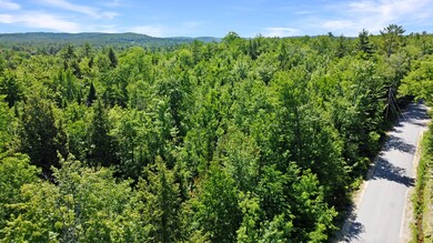 2A Old Sumner Rd, Buckfield, ME 04220 - photo 5