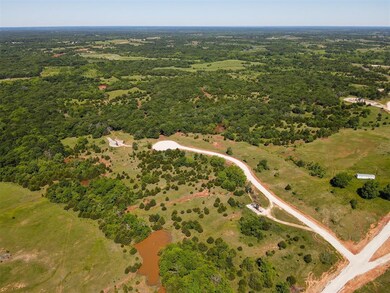 Drone / aerial view of a forest