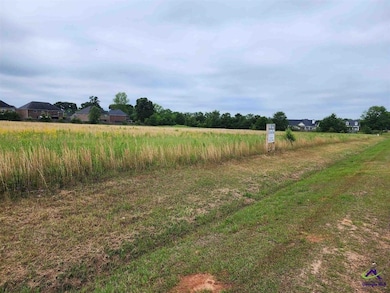 0 Lakeview Rd, Warner Robins, GA 31088 - photo 3