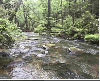 74 Grizzle Ct, Ellijay, GA 30175 - photo 6