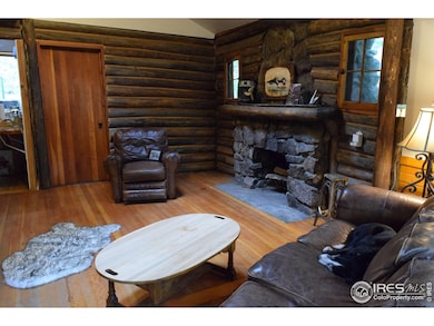 223 Riverside Dr, Lyons, CO 80540 - photo 4