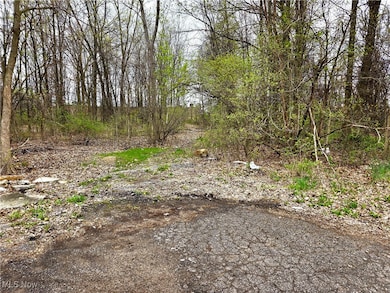 VL Ridgewood St, Lorain, OH 44055 - photo 2