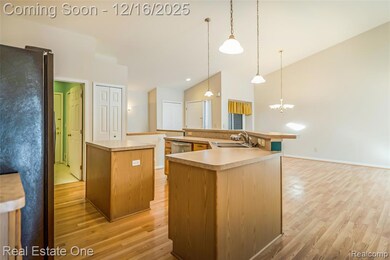 61019 Evergreen Ct unit 22, South Lyon, MI 48178 - photo 7
