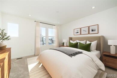 103 Cardow Dr unit 169-605, O'Fallon, MO 63368 - photo 6