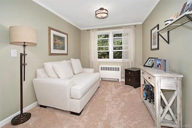 27 Avon Cir unit C, Rye Brook, NY 10573 - photo 5