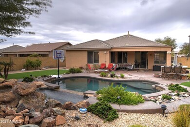 Backyard 3
