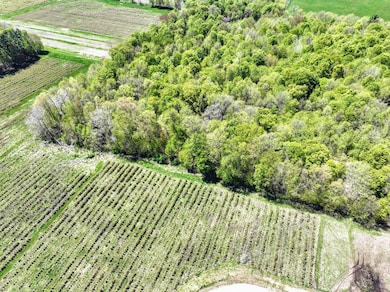 VL, Grand Junction, MI 49056 - photo 6