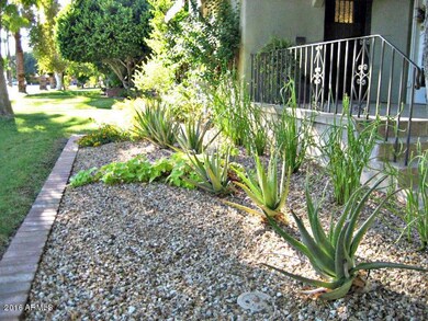 Front Plantings