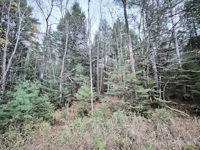 20251023_174049_result