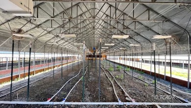 331 N Meadow Ln, Hayfork, CA 96041 - photo 6