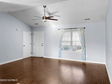 213_Red_Carnation00007_single