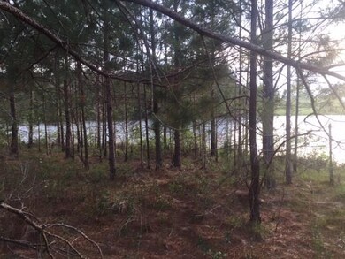 00 High Ridge Rd unit 33, Broxton, GA 31533 - photo 2