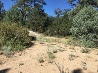 Leveled Area Off of Road