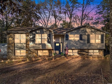 20 Caddo Dr, Conway, AR 72032 - photo 2