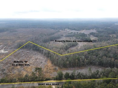 13 Acres Goat Hill Rd, Samson, AL 36477 - photo 2