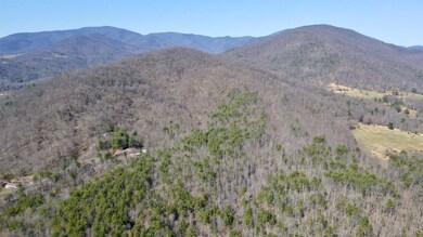 0 Lexington Turnpike unit 330760, Oronoco, VA 24521 - photo 4