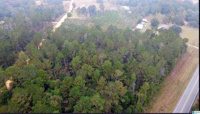 0 Opp Hwy, Dozier, AL 36028 - photo 5