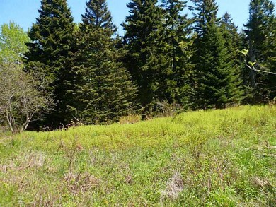 Land.