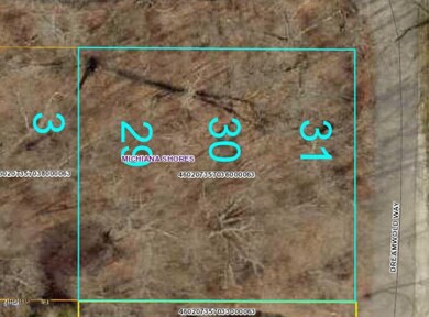 402 Dreamwold Way, Michiana Shores, IN 46360 - photo 6