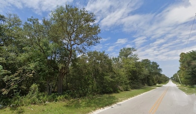 Lot 102 NE 118th Terrace, Bronson, FL 32621 - photo 4