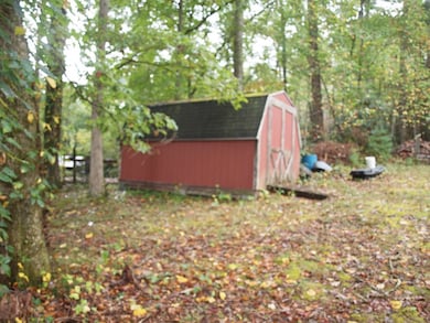 24325 Jeb Stuart Hwy, Damascus, VA 24236 - photo 4