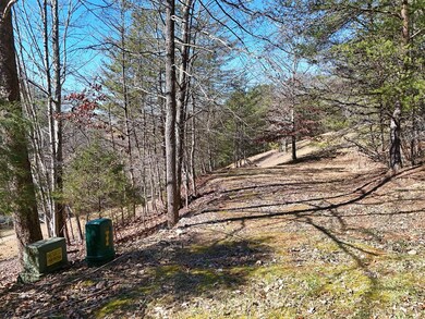 LT 13/14 S Williamstown Ridge, Mineral Bluff, GA 30559 - photo 7