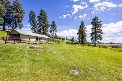 585 Ramsfield Rd, Bigfork, MT 59911 - photo 6