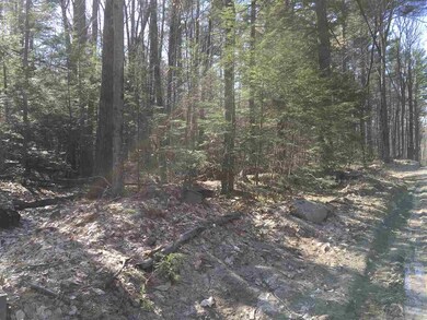 36 Effingham Rd, Ossipee, NH 03864 - photo 5