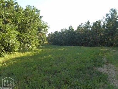 4577 Greene 609 Rd, Paragould, AR 72450 - photo 2