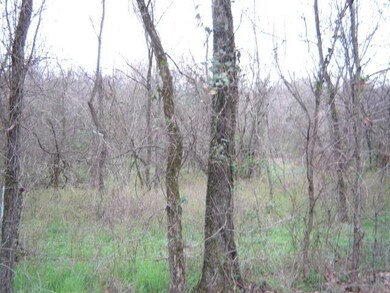View of woods from Poor House Road.