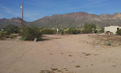 shed with elephant butte views