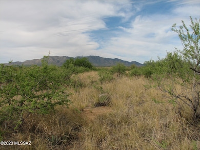 Native Vegetation