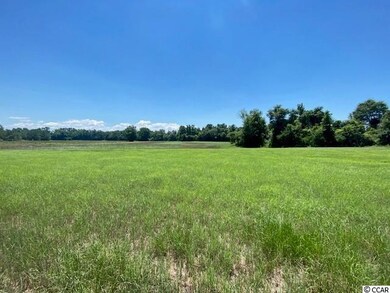 TBD William Nobles Rd unit Lot 3, Aynor, SC 29511 - photo 6