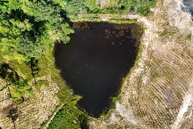 15-DJI_20240620105651_0364_D